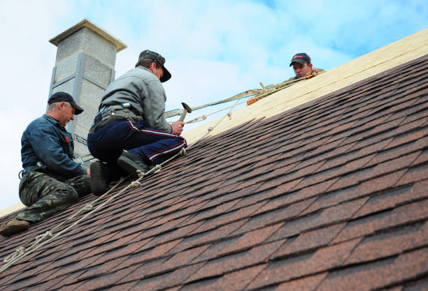 Best Gutter Installation and Roofing  in Buna, TX