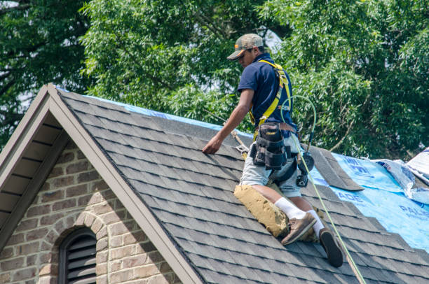 Best Residential Roof Replacement  in Buna, TX